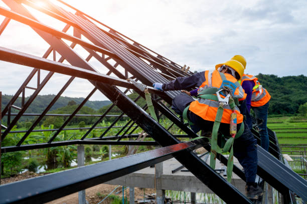 Best Metal Roofing Contractor  in Trenton, TN