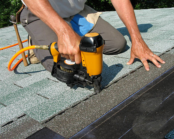 Best Roof Leak Repair  in Trenton, TN
