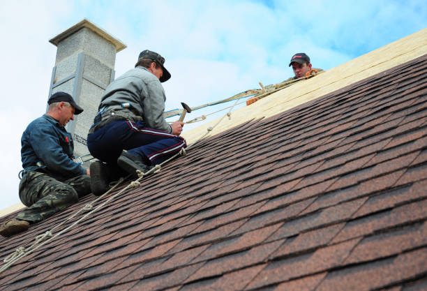 Roof Installation Near Me in Trenton, TN