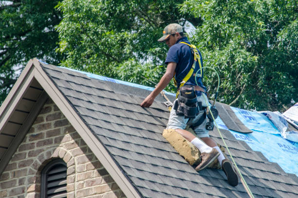 Best Storm Damage Roof Repair  in Trenton, TN